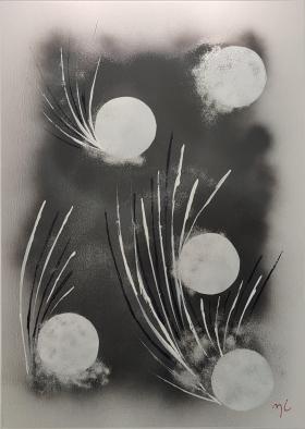 Lm02258